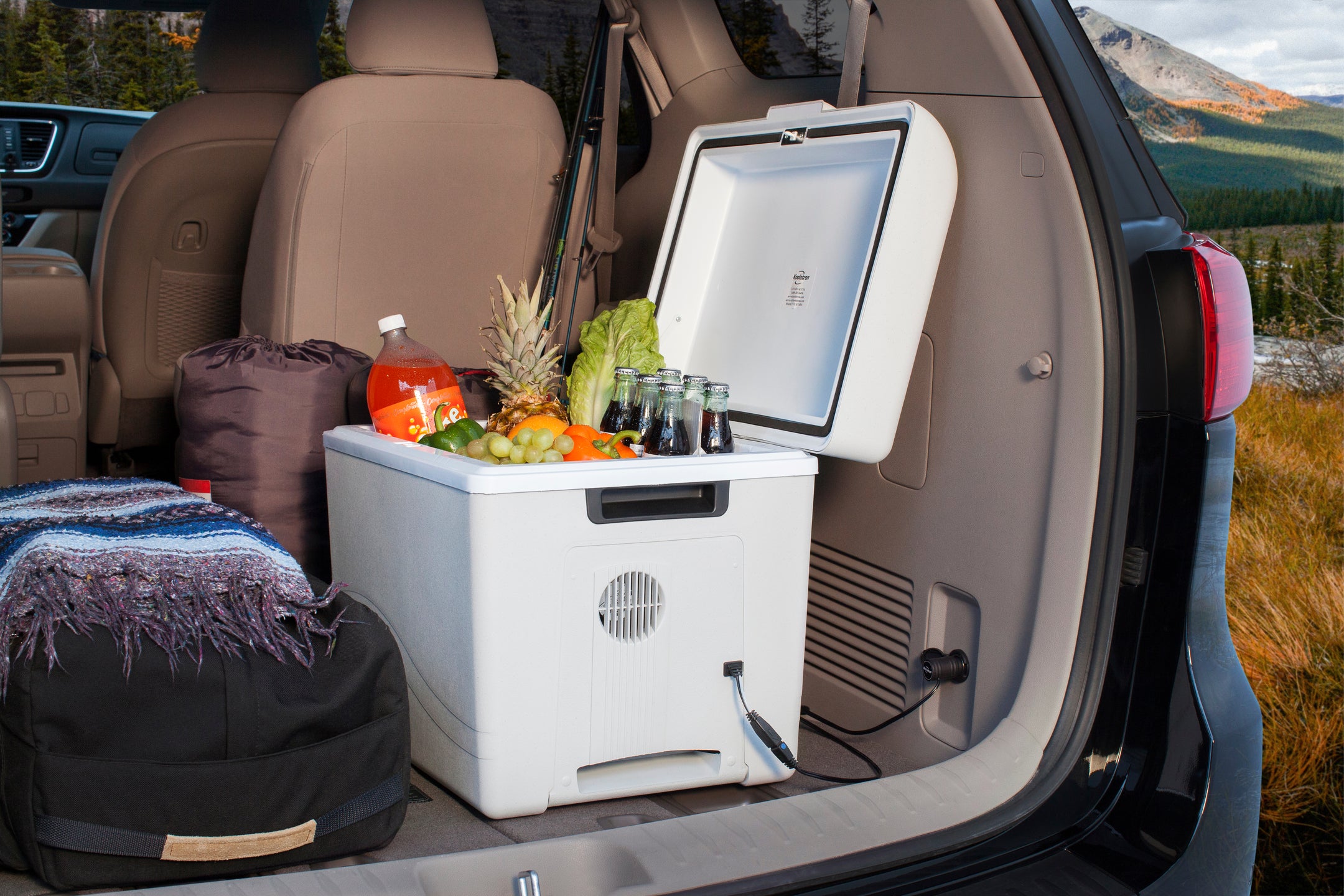 12v Electric Cool box Cooler bag