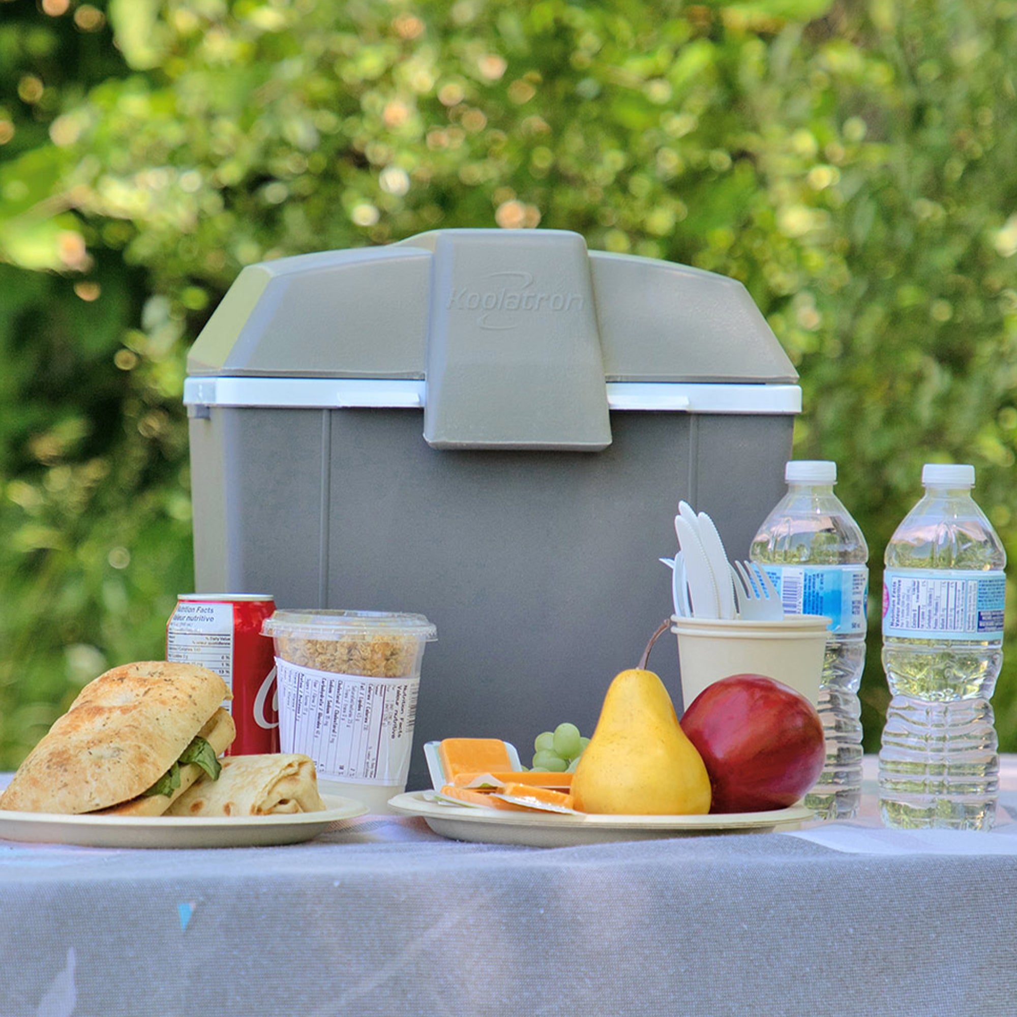 Electric Cool Box 9L Cooler Box 12 Can Portable 12v Camping Car Fridge Refrigerator For Campervan Perfect for Road Trips Picnics Cooler/Warmer