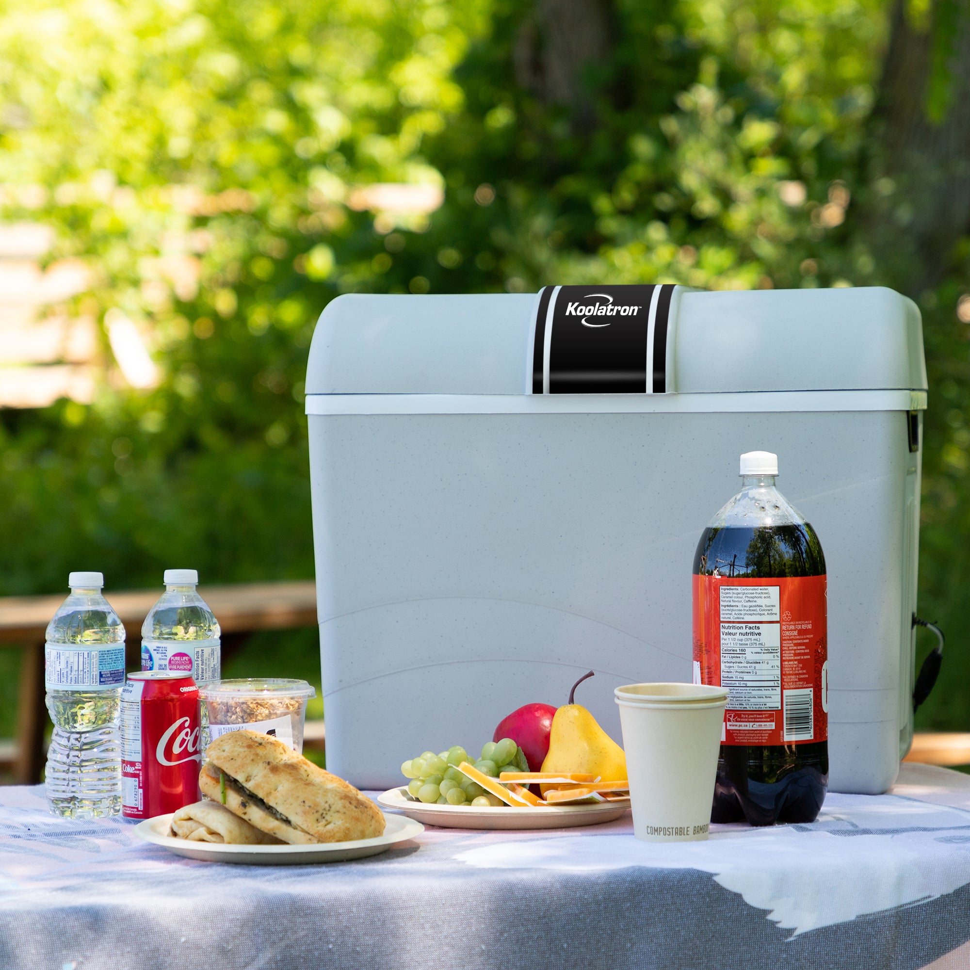 12V Electric Camping Cooler Car Fridge
